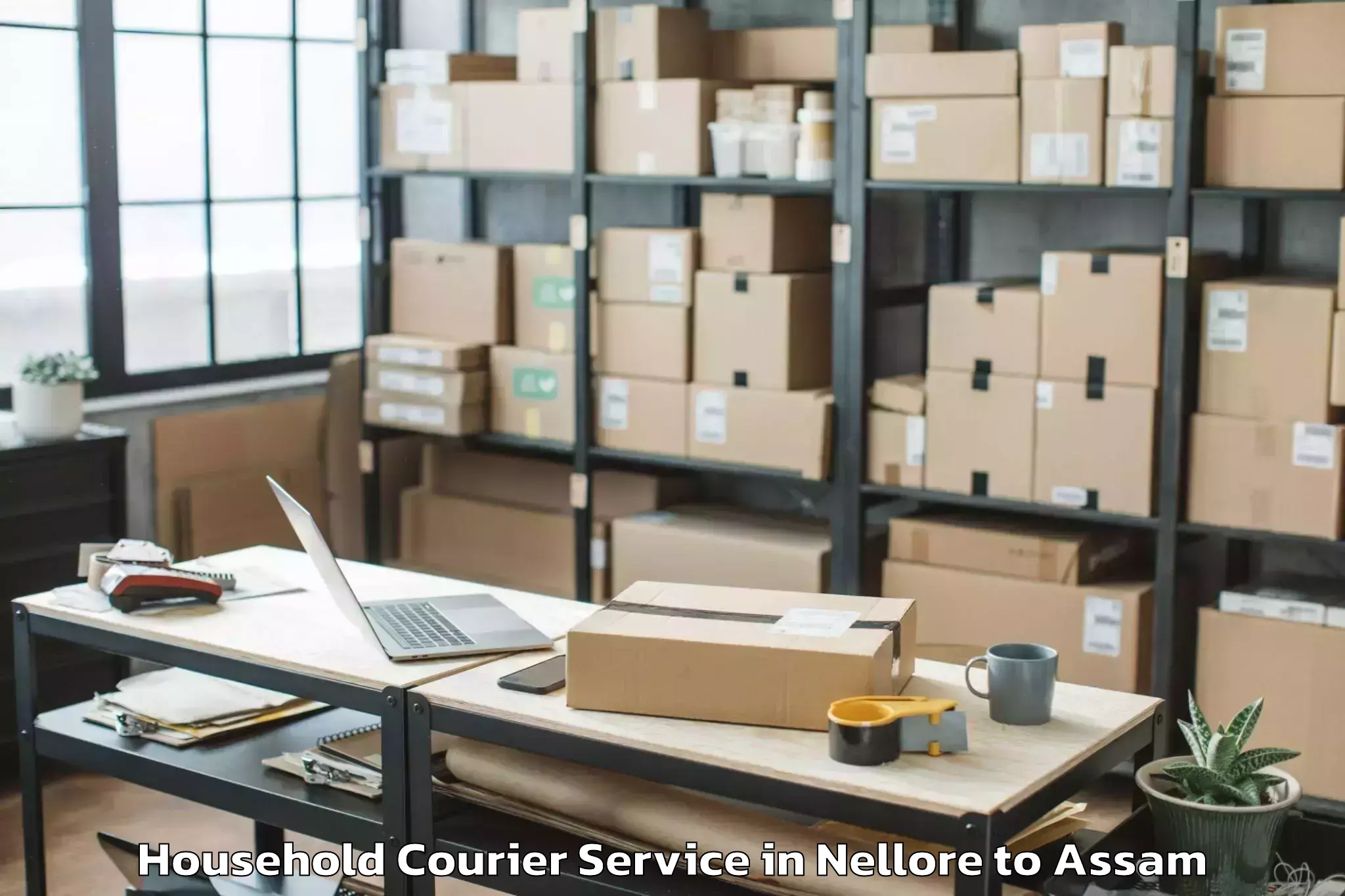 Hassle-Free Nellore to Rangia Pt Household Courier